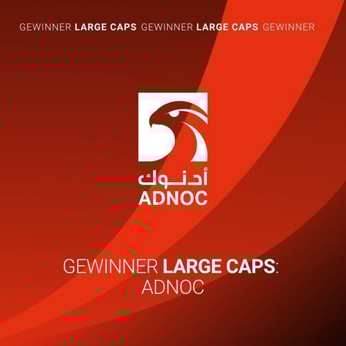 CFA_LP_Large Caps CFA_LP_Large Caps