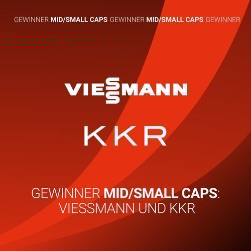 CFA_LP_Mid-Small Caps CFA_LP_Mid-Small Caps